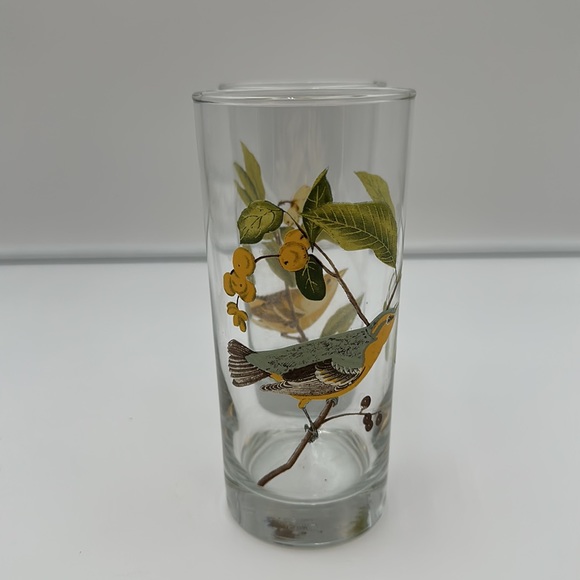 Set of 4 Vintage West Virginia Glass AMERICAN SONGBIRDS Flat Tumblers Glasses - Picture 8 of 16